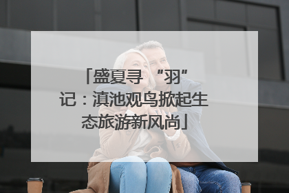 盛夏寻 “羽” 记：滇池观鸟掀起生态旅游新风尚