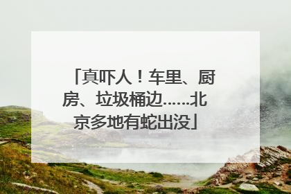 真吓人！车里、厨房、垃圾桶边……北京多地有蛇出没