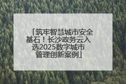 筑牢智慧城市安全基石！长沙政务云入选2025数字城市管理创新案例
