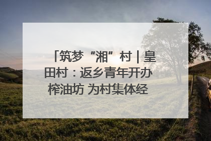 筑梦“湘”村｜皇田村：返乡青年开办榨油坊 为村集体经济“加油”