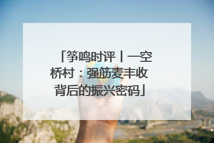 筝鸣时评丨一空桥村：强筋麦丰收背后的振兴密码
