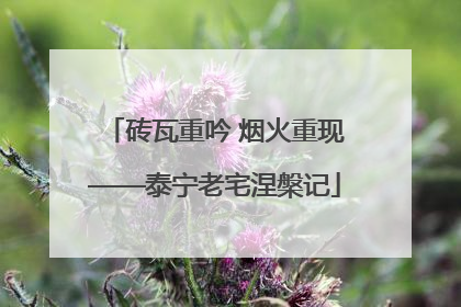 砖瓦重吟 烟火重现——泰宁老宅涅槃记
