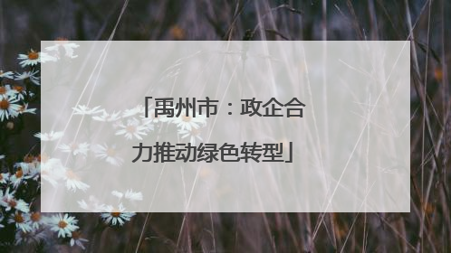 禹州市：政企合力推动绿色转型