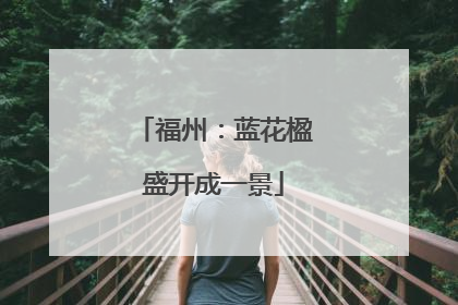 福州：蓝花楹盛开成一景