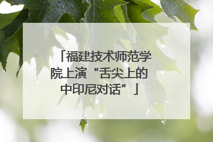 福建技术师范学院上演“舌尖上的中印尼对话”
