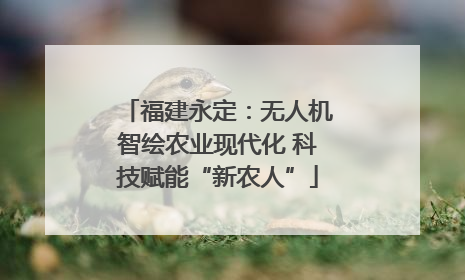 福建永定：无人机智绘农业现代化 科技赋能“新农人”