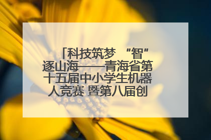 科技筑梦 “智”逐山海——青海省第十五届中小学生机器人竞赛 暨第八届创新设计大赛见闻