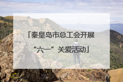 秦皇岛市总工会开展“六一”关爱活动