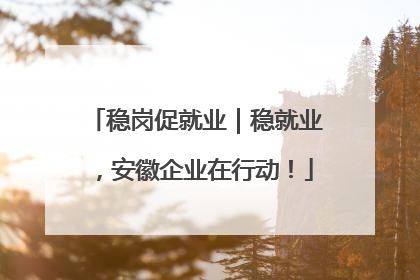 稳岗促就业｜稳就业，安徽企业在行动！