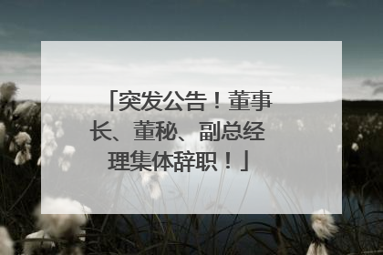 突发公告！董事长、董秘、副总经理集体辞职！