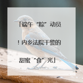 端午“粽”动员！内乡法院干警的甜蜜“食”光