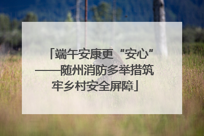 端午安康更“安心”——随州消防多举措筑牢乡村安全屏障