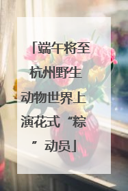 端午将至 杭州野生动物世界上演花式“粽”动员