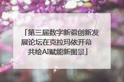 第三届数字新疆创新发展论坛在克拉玛依开幕 共绘AI赋能新图景