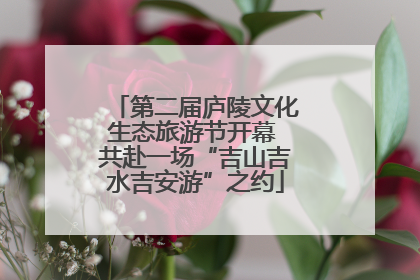 第二届庐陵文化生态旅游节开幕 共赴一场“吉山吉水吉安游”之约