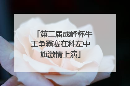 第二届成峰杯牛王争霸赛在科左中旗激情上演