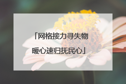 网格接力寻失物 暖心速归抚民心