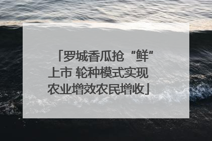 罗城香瓜抢“鲜”上市 轮种模式实现农业增效农民增收