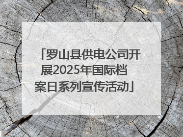 罗山县供电公司开展2025年国际档案日系列宣传活动