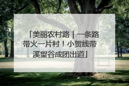 美丽农村路｜一条路带火一片村！小贺线带溪望谷成团出道