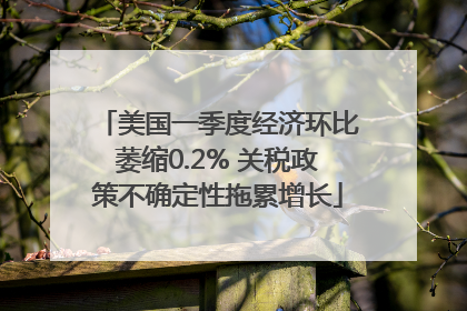 美国一季度经济环比萎缩0.2% 关税政策不确定性拖累增长
