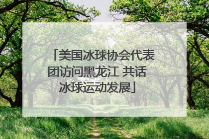 美国冰球协会代表团访问黑龙江 共话冰球运动发展
