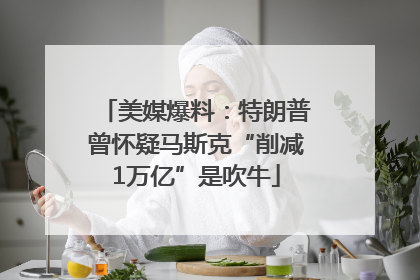 美媒爆料：特朗普曾怀疑马斯克“削减1万亿”是吹牛