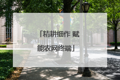 精耕细作 赋能农网终端