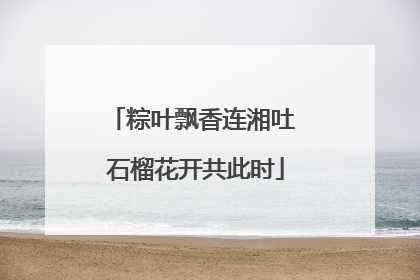 粽叶飘香连湘吐 石榴花开共此时