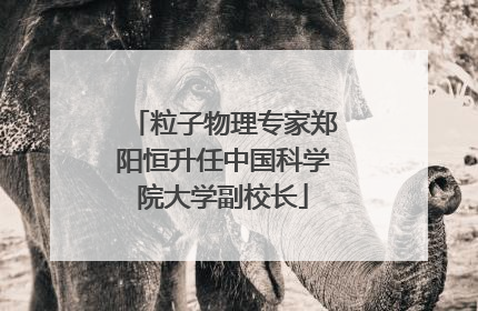 粒子物理专家郑阳恒升任中国科学院大学副校长