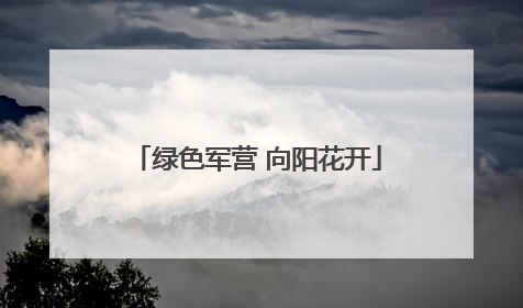 绿色军营 向阳花开