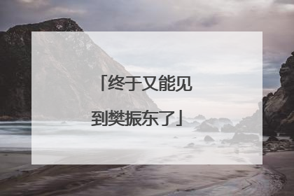 终于又能见到樊振东了