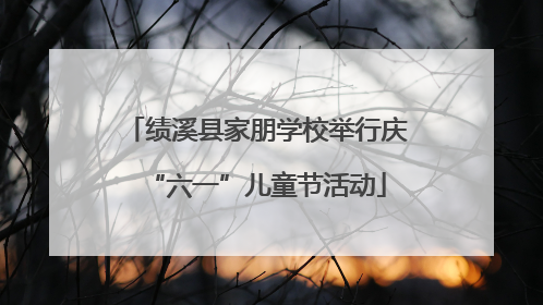 绩溪县家朋学校举行庆“六一”儿童节活动