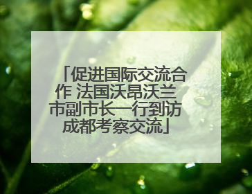 促进国际交流合作 法国沃昂沃兰市副市长一行到访成都考察交流