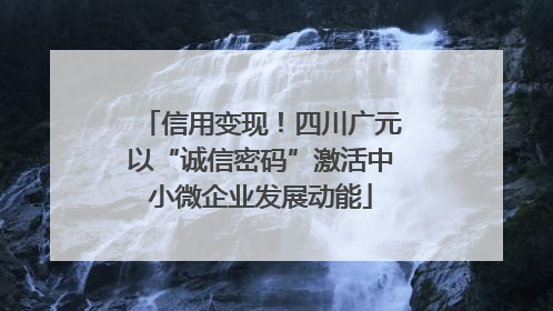 信用变现！四川广元以“诚信密码”激活中小微企业发展动能