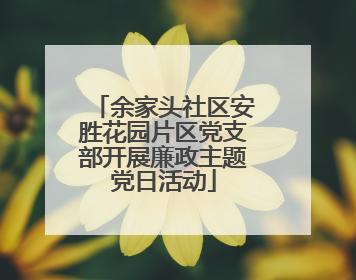 余家头社区安胜花园片区党支部开展廉政主题党日活动