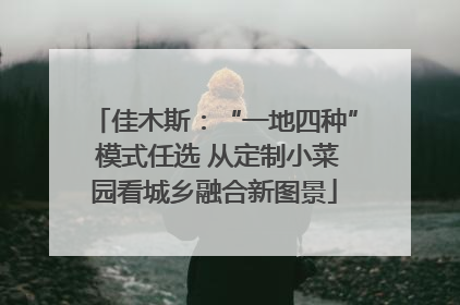 佳木斯：“一地四种” 模式任选 从定制小菜园看城乡融合新图景