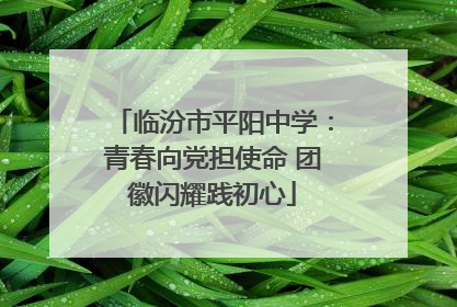 临汾市平阳中学：青春向党担使命 团徽闪耀践初心