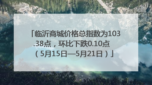 临沂商城价格总指数为103.38点，环比下跌0.10点（5月15日—5月21日）