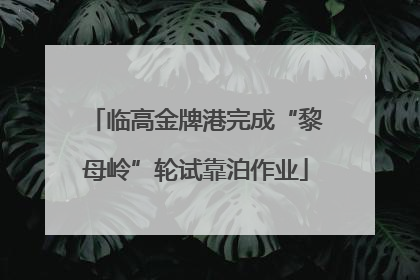临高金牌港完成“黎母岭”轮试靠泊作业