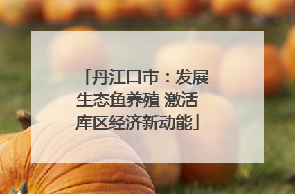 丹江口市：发展生态鱼养殖 激活库区经济新动能