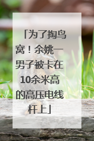 为了掏鸟窝！余姚一男子被卡在10余米高的高压电线杆上