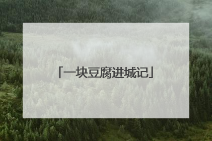 一块豆腐进城记