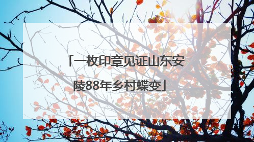一枚印章见证山东安陵88年乡村蝶变