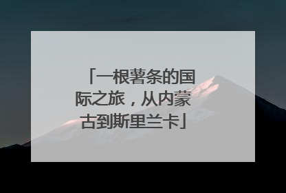 一根薯条的国际之旅，从内蒙古到斯里兰卡