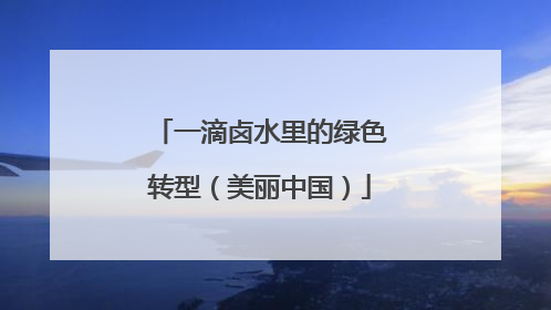 一滴卤水里的绿色转型（美丽中国）
