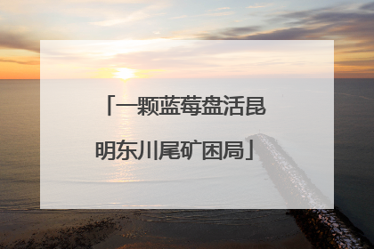 一颗蓝莓盘活昆明东川尾矿困局