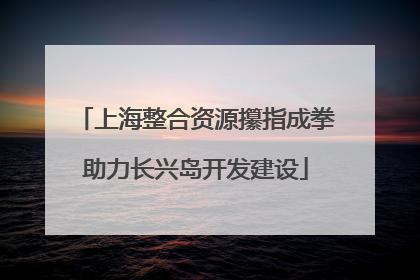 上海整合资源攥指成拳助力长兴岛开发建设