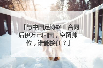 与中国足协终止合同后伊万已回国，空留帅位，谁能接任？