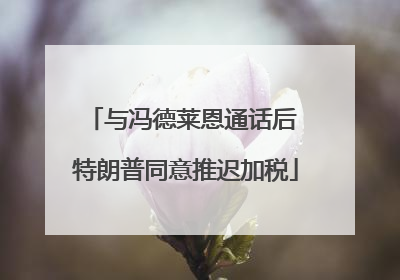 与冯德莱恩通话后 特朗普同意推迟加税